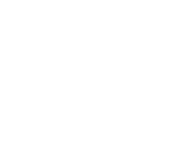 logo light